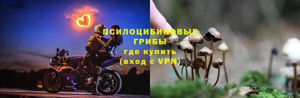 СК Осинники
