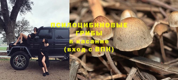 кокс Армянск