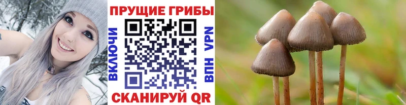 даркнет сайт Серов Псилоцибиновые грибы мицелий