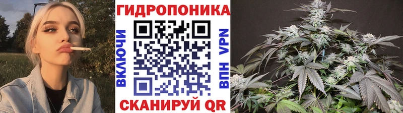 Шишки марихуана план  MEGA ТОР  Серов 